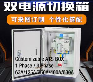 China Compact Single Phase Automatic Transfer Switch ATS Box Waterproof Wall - Mount 2 Pole 63A 400V factory