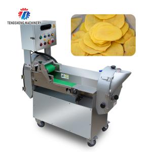 China Multifunction Cucumber Shredded Radish Vegetable Processing Machine bamboo shoots factory