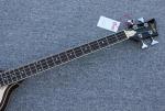 4-string BB2 BASS Violin BassHi-BB Series fully hollow body2 Staple pickups,