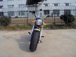 Skyteam T - Rex 125 125cc Mini Bike , 2 People Motorcycle With 4 Speed Gear