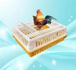 Live Poultry Carrier Crate Broiler Plastic Cage 7-10 Chicken Capacity