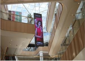 China 6500K Color Temp Smart LED Poster Display factory