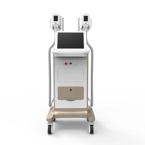 China cryo for weight loss antifreezing membrane for freeze fat cryolipolysis slimming machine for sale factory