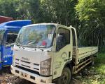 Isuzu used Cargo Truck with 2 Doors Diesel Engine lorry light truck cargo box