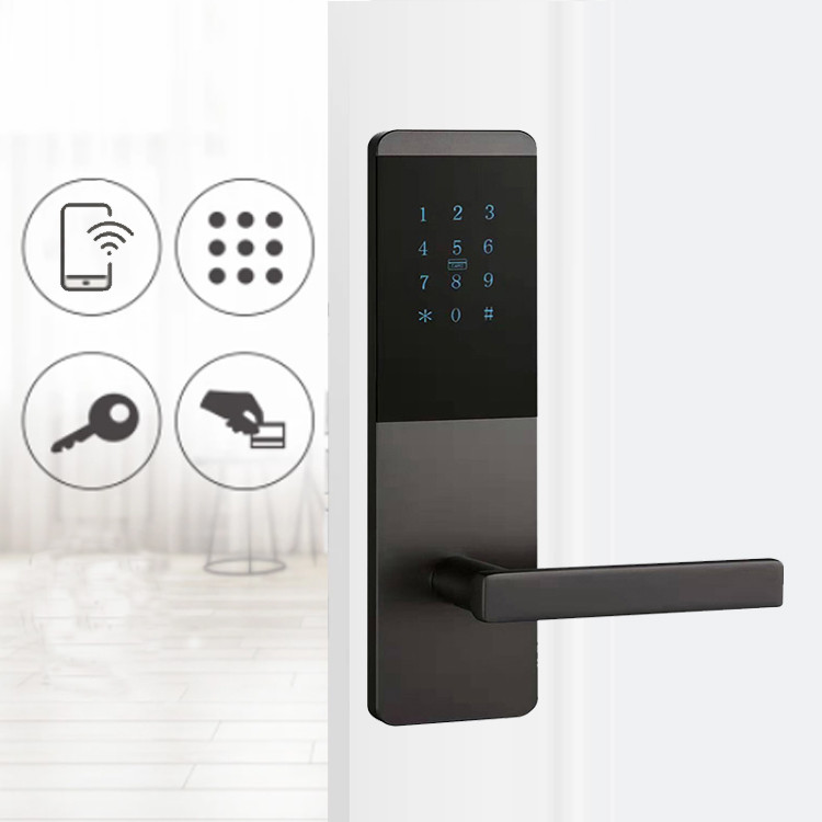Aluminum Alloy Smart App Controlled Door Locks With Touch Keypad