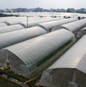 China OEM ODM Plastic Sheeting Rolls Greenhouse Anti Aging Anti Fog on sale