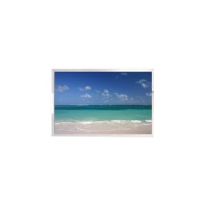 China P215QAN01.0 CELL 21.5 inch lcd screen HOT SELL factory