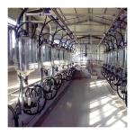 380v 7.5KW Automated Milking Parlour Herringbone Type