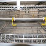 Aging Resistance Poultry Farm Cage , Three Tiers Battery Cage System For