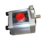 Stainless External Gear Oil Pump for Hot Circulation Oil in Building Material