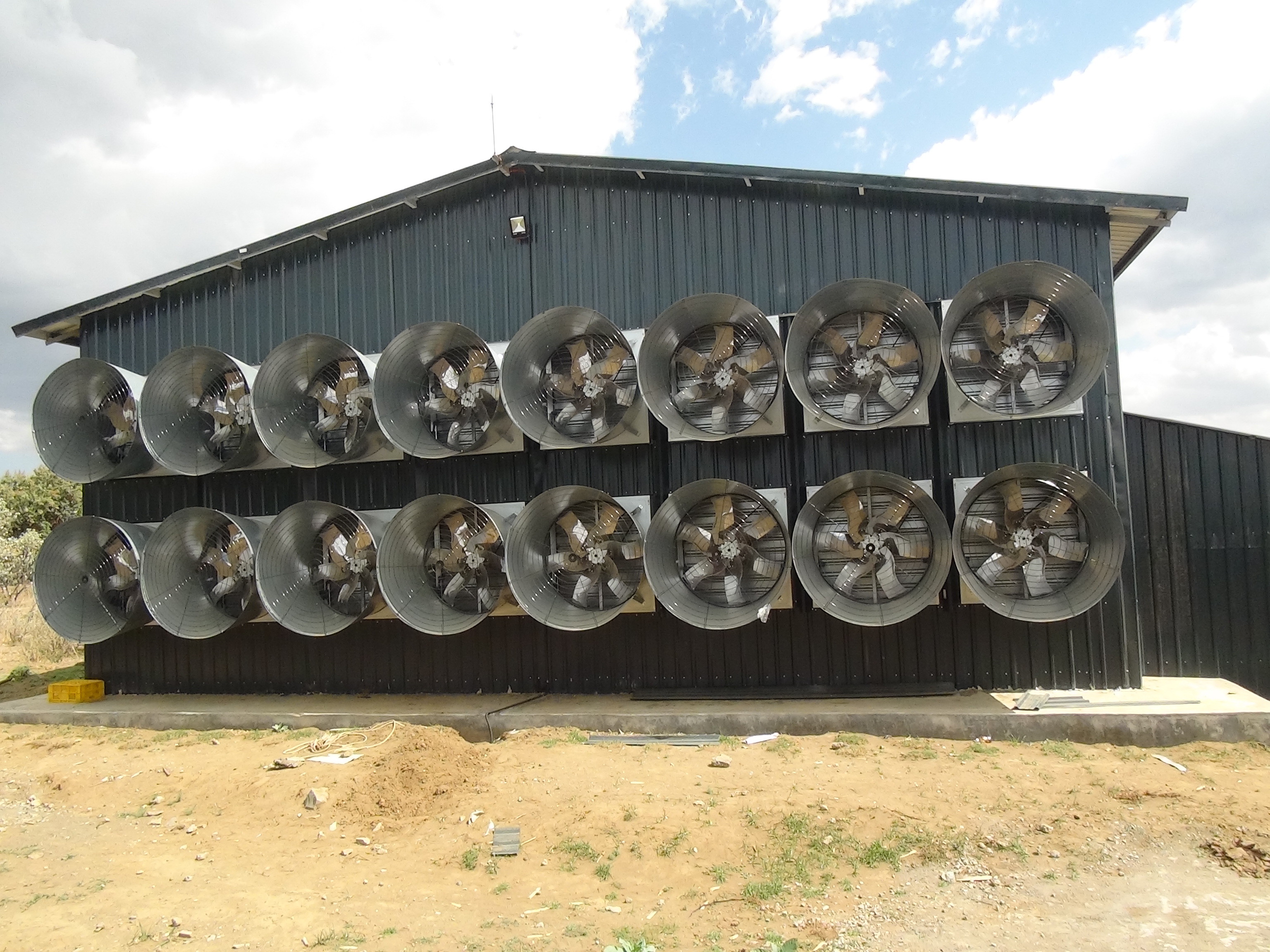 Egg Chicken Poultry Farm 3 Tiers 4 Tiers H Type Automatic Battery System Chicken Layer Cage