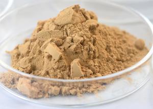 China Main Enzymes 50000-100000U/G Food Grade Neutral Protease OEM ODM factory