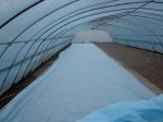 Custom Packaging Fabric Nonwoven Garden Cloth for Agriculture Plain Style PP