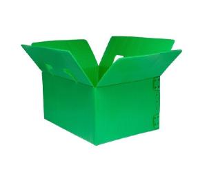 China Corrugated Plastic Box/Corflute Box/ Mail Tray Collapsible corrugated plastic packing box factory