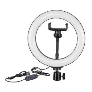 China 5V 20cm 8 Inch Selfie Ring Light With Tripod Stand factory