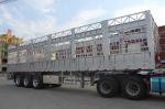 Transport Vegetables Livestock Storage Grid Semi Stake Fence Cargo Truck