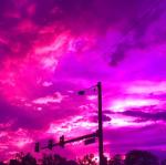 Color Therapy Cat Eyes Plastic Frame Magenta Lens Sunglasses