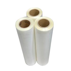 China Uv Dtf Pet Film A3 A4 Direct To Film DTF Printer For T Shirt Printing Low Transfer factory