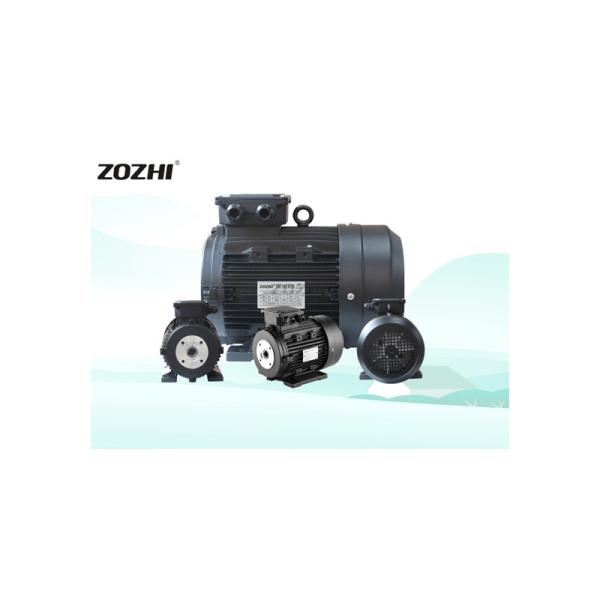 IP55 Protection Class Pressure Washing Machine Hollow Shaft Motor With IC411