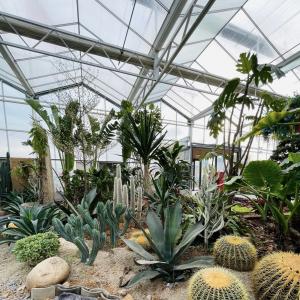 Customized Request Glass Greenhouse with Flower System and Customized Roofing