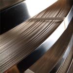 DIN EN 100Cr6 Spheroidized Annealed Bearing Steel Strip For Spring