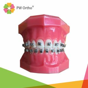 China Orthodontic Material Self Ligating Metal Brace Bracket factory