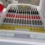Stainless Steel Automatic Chicken Water Nipples Hen Chick Poultry Drinker Feeder