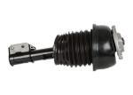 Car Parts Mercedes Benz Air Suspension Assembly Replacement for CLS500 CLS550