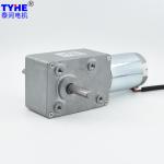 Turbo Worm Micro DC Gear Motor 24V 250kgcm 5883mm 5rpm Double Shafts