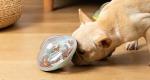 Interactive Tumbler Dog Treat Ball, Dog Leaky Food Dispensing Toy Puzzle Ball