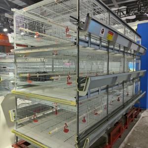 China 3 Tier H Type Pullet Cage Battery Baby Layer Chicken Cage For 50000 Birds factory