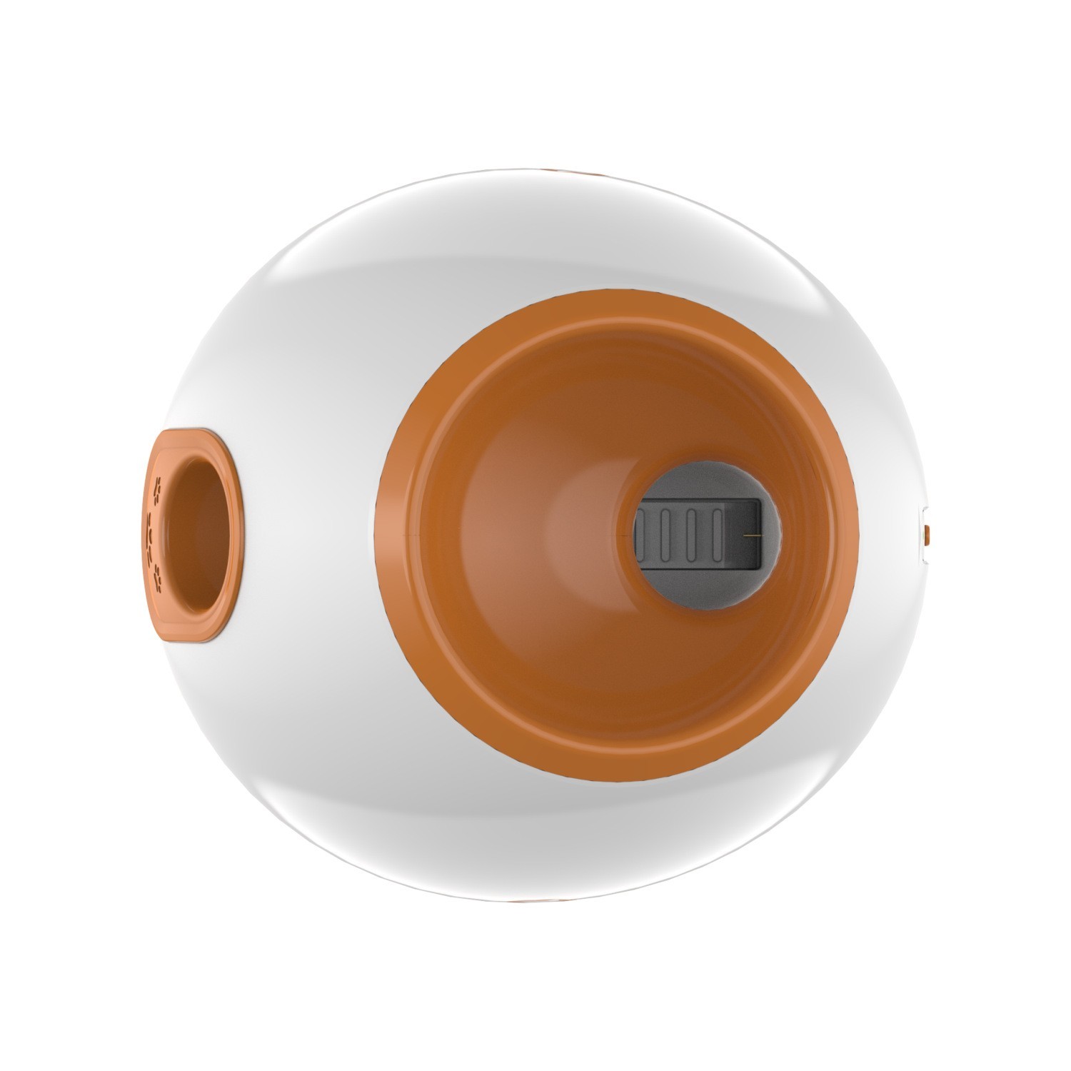automatic dog ball