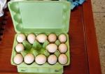 Paper Egg Carton Making Machine Small Capacity Convenient Installation