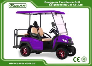 China Fuel Type Electric Golf Car 350AH 3.7W Aluminium Electric Hunting Carts Framework Purple factory