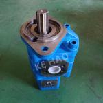 CBGJ Double Pump Rhomb cover Spline Blue Compact Original Gear Pump For