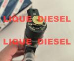 BOSCH Common Rail Injector 0445110291 0 445 110 291 0445 110 291 445110291