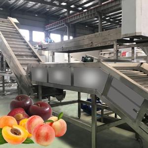 China Multiple Use Safety Peach Processing Plant High Extracting Rate 1000 T/Day factory