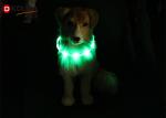 Silicon Waterproof USB Rechargeable Dog Collars That Light Up In The Dark