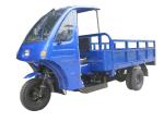 Motorized Cargo Tricycle 250cc 2015 3 Wheel Motorcycle with Motorized Driving