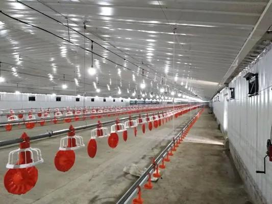 ODM Steel Structure Poultry House Chicken Coop Steel Frame Farm Building