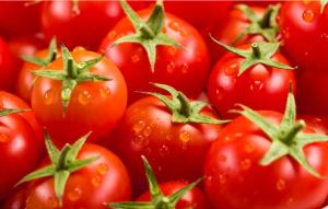 China Fresh Tomato Puree Processing Line 6.5t/H High Capacity factory