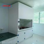 Wall Mounted Perchloric Acid Fume Hoods Low Noise Level Durable