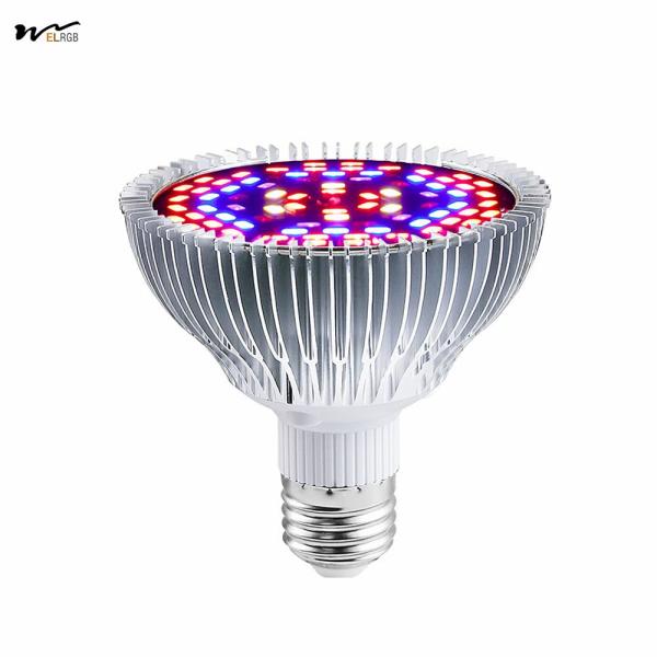 Indoor Plant Veg Flower Garden Greenhouse Succulent 50W Led Plant Lamp Full
