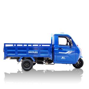 China Motorized Gasoline Cargo Tricycle for Adults 1 Passenger High Curb Weight ≥500kg factory