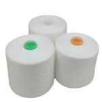 Spun Polyester Yarn Dyed Spun Polyester Yarn 202 302 402 502 602 Polyester Ring