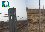 Agricultural Galvanised Steel Vineyard Posts 2500x1.5MM High Wind Resistance
