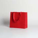 Recyclable Custom Branded Paper Carrier Bags , Retail Paper Bags Wholesale