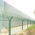 Customized Galvanized and Powder Coated Razor Wire Fence for Residential
