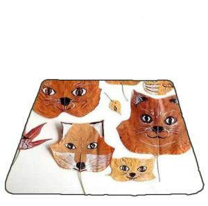 China Customized Outdoor Picnic Blanket Waterproof With Excellent Wear Resistance factory