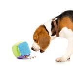 Eco-Friendly Colorful Intelligent Pet Toys Cotton Plush Leakage Food Cube Dog